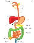 دکتر علی عرفانی کریم زاده طوسی